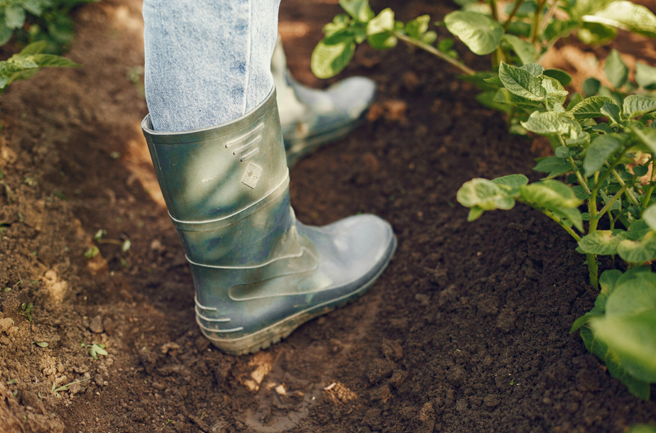 Gardening-5-LowResolution